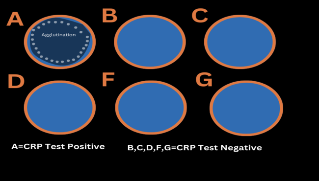 C-reactive Protein