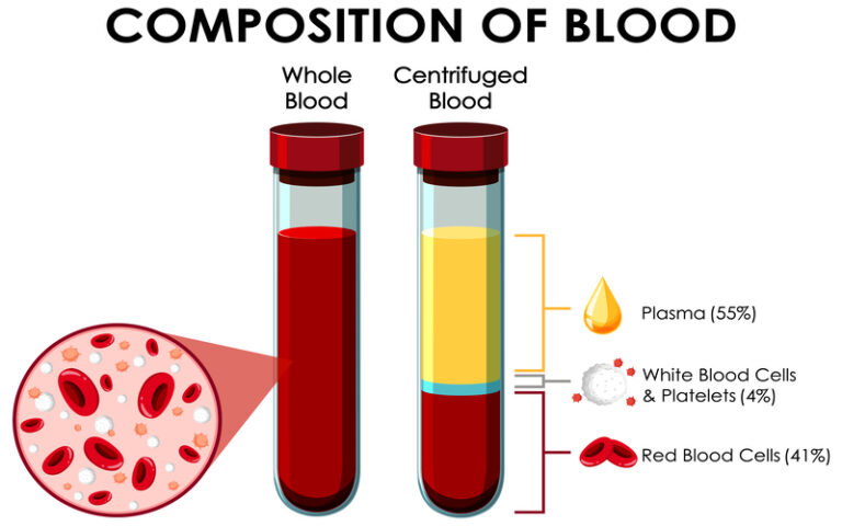 Haematology