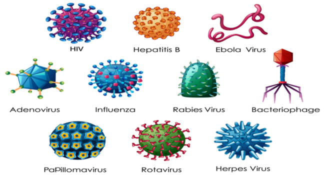 Virology