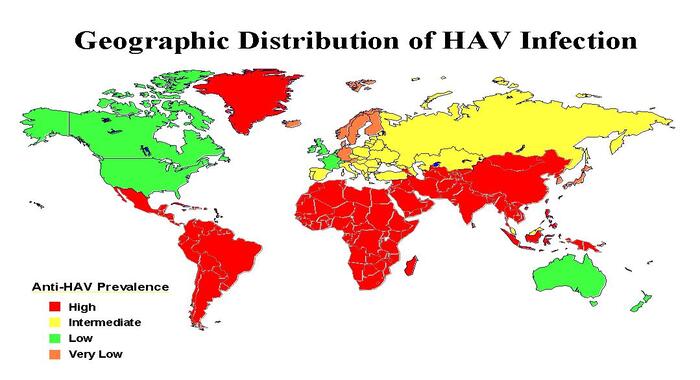 Hepatitis A Virus