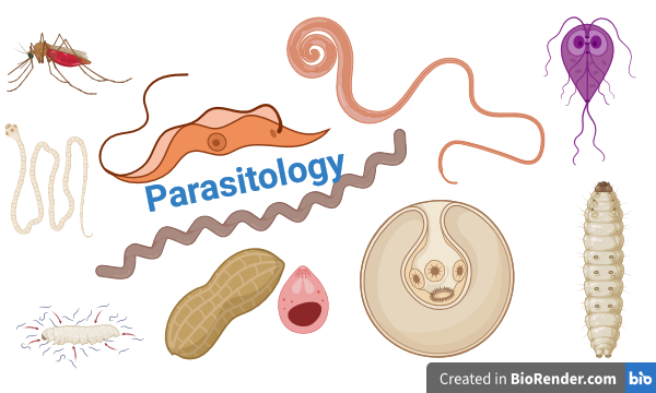 Parasitology